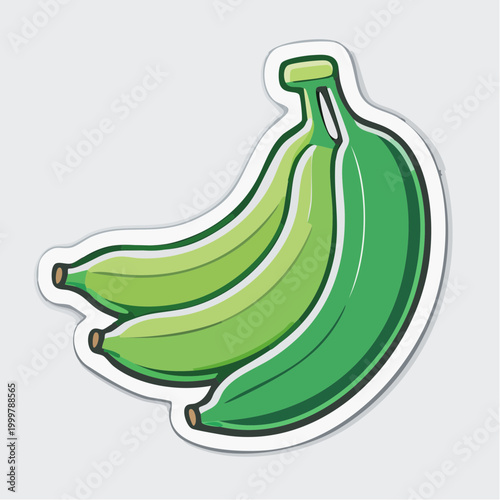 Bunch of Green Bananas Illustration