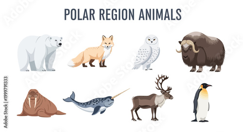Polar region animals illustration set.