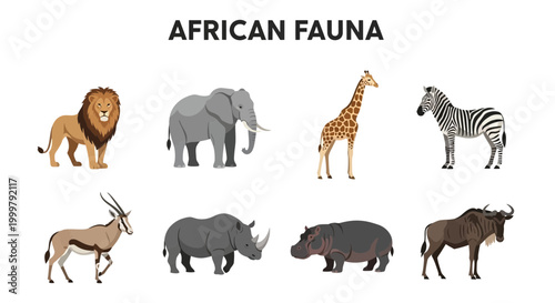 African animals wildlife illustrations set.