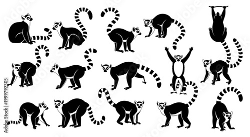 Lemur poses and movements sequence.