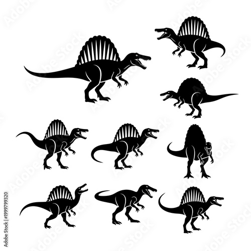 Set of Spinosaurus Dinosaur Silhouettes on White Background