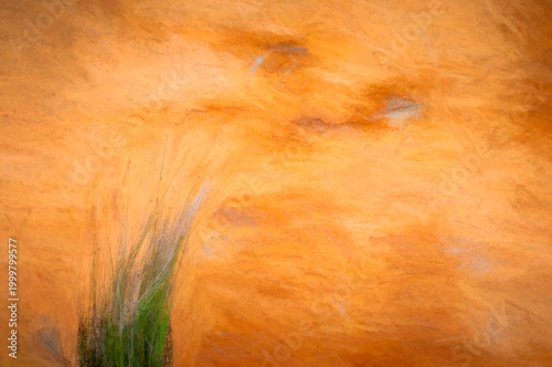 An abstract composition featuring a vibrant, orange-hued background with a small cluster of green grass in the lower left. The brushstroke texture and warm colors create a sense of movement and energy