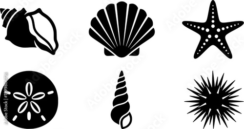Stylized black seashells starfish and sand dollar icons for beach vacation designs and sea life symbols
