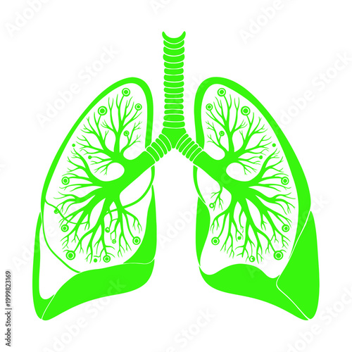 Green Lungs Anatomy Icon with Branching Bronchioles and Alveoli - Medical Illustration
