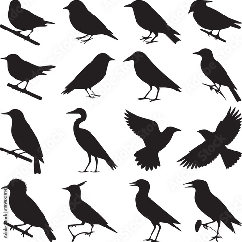 Group of black birds perched and flying in different poses Vector