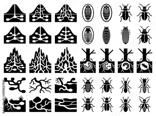 Insect Life Cycle and Underground Nest Icon Set: Beetles, Ant Hills, Termite Tunnels, Larvae, and Wood Boring Pests Vector Illustrations