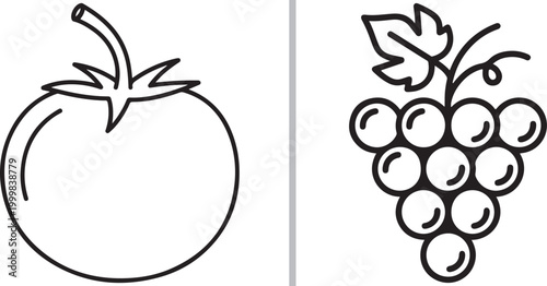 Fotografie Tomato and bunch of grapes line art illustration for coloring book isolated on w