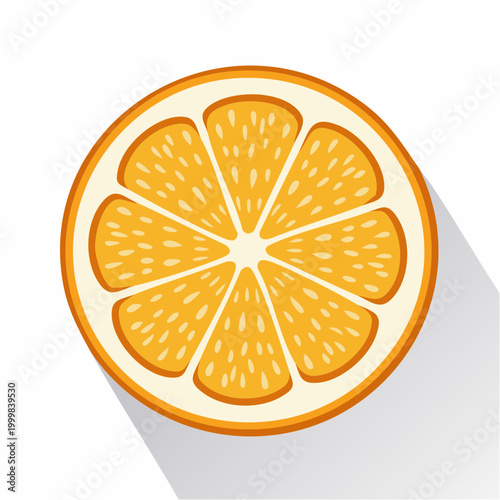 Illustration of a Sliced Orange