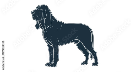 Bloodhound Silhouette Illustration, Standing Dog Outline, Elegant Canine Profile