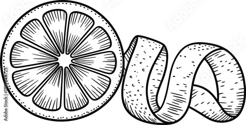 Lemon slice and peel hand drawn citrus fruit vector illustration for fresh food design