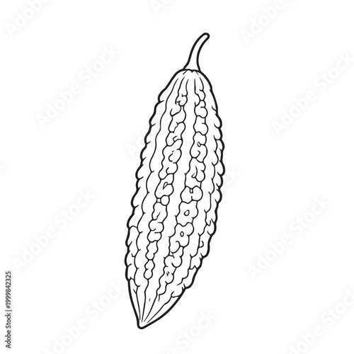 Cute vector art of a bitter melon vegetable with a friendly face, simple outlines, minimal detail, coloring book style, playful and fun design for kids activities.