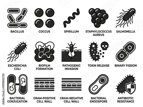 Microbiology and Bacteria Icon Set: Types, Processes, and Structures including E. coli, Salmonella, Biofilm, and Antibiotic Resistance Vector Illustrations