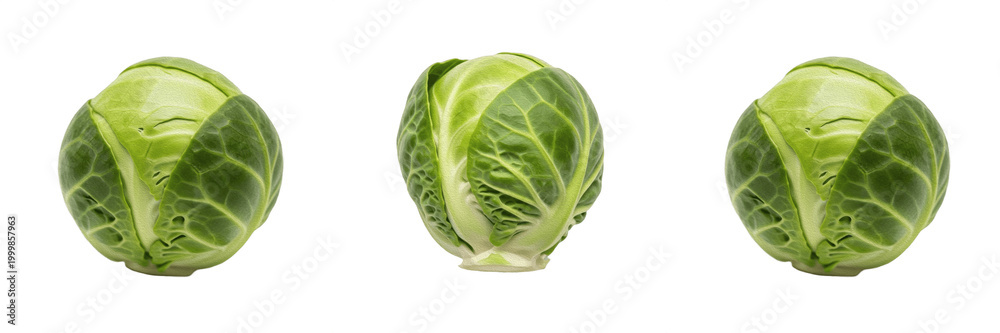 Fototapeta premium Fresh Organic Green Cabbage Head Isolated Whole Raw Vegetable Healthy Cooking Salad Nutrition Food