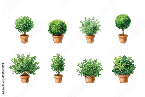 watercolor mini bushes plant pot collection