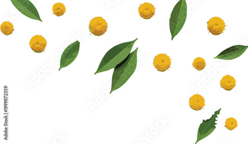 Yellow floral elements with green leaves scattered composition illustrating botanical decoration, natural pattern, and vector illustration