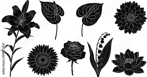 Collection of striking black and white floral vector illustration elements