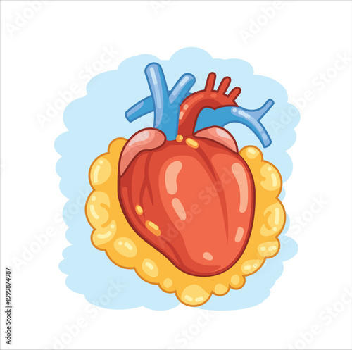 Pericardial Fat Around Heart Illustration