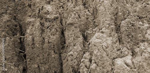 Rough dry soil texture with natural earthy surface and organic ground detail ideal for backgrounds, geology and design projects