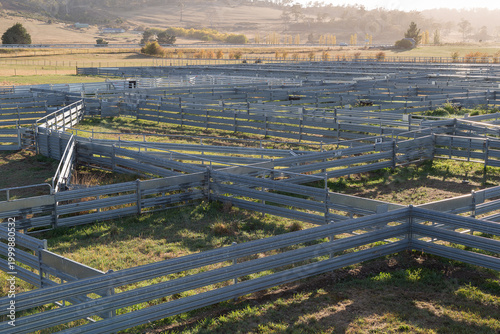 Livestock yards at the Oatlands Livestock Marketing Complex where sheep and lamb sales are held