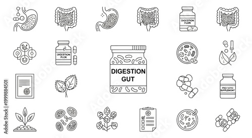 Digestion Gut Flora and Probiotic Supplement Line Icons Vector
