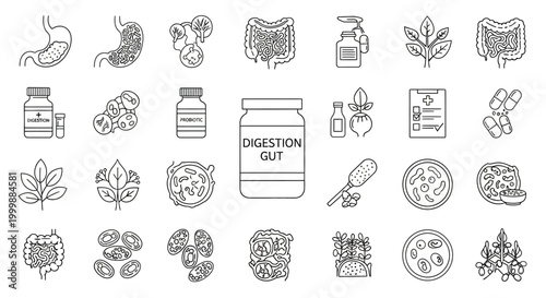 Gut Digestion Health Line Art Collection Vector Illustration