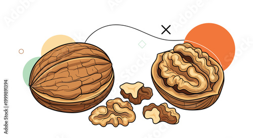 Detailed illustration of whole and cracked walnuts showcasing the textured shells and nutritious nut meats against a simple background.