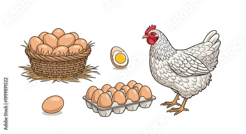 Domestic white chicken standing next to a basket of eggs, a cardboard egg carton, and a single fried egg in a rustic illustration.