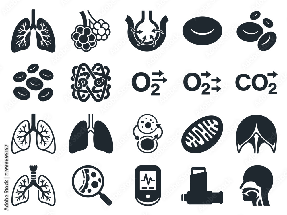 Obraz premium Respiratory System and Lung Anatomy Icon Set: Pulmonology Symbols for Gas Exchange, Alveoli, and Oxygen Flow