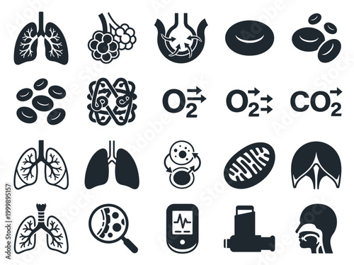 Respiratory System and Lung Anatomy Icon Set: Pulmonology Symbols for Gas Exchange, Alveoli, and Oxygen Flow