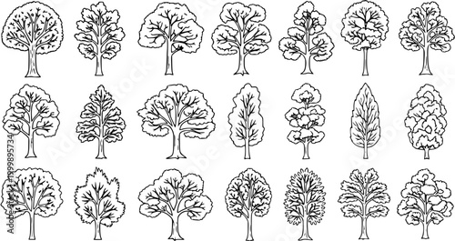 Nature  Ecology Line Art: Hand-Drawn Black and White Outline Tree Set. Diverse Botanical Species for Forestry, Landscaping  Environmental Design