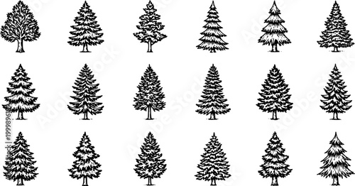 Black and White Line Art Vector Set of Various Pine and Fir Trees
