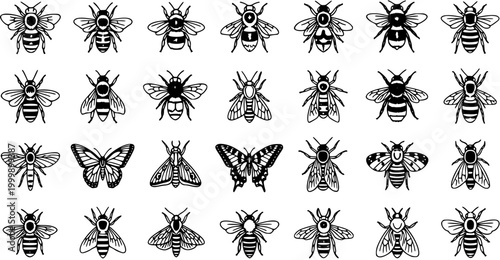 Black and White Line Art Glyph Icons Set: Diverse Collection of Bees, Butterflies, and Moths. Detailed Insect Nature and Entomology Vector Illustrations.