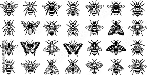 Nature Insects Black and White Line Art. Vector Collection of Bees, Butterflies, Wasps, and Moths for Biology, Entomology, and Environmental Design.