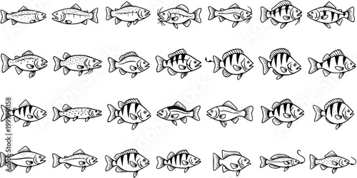 Black and White Line Art Collection of Diverse Fish Illustrations for Seafood or Fishing Industry
