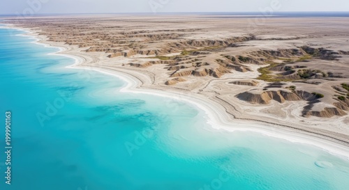 Aerial view of turquoise ocean meeting desert landscape