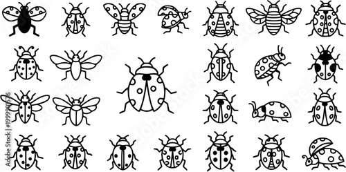 Nature Entomology Black and White Line Art Icons Set of Various Cute Ladybugs, Beetles, and Flying Insects