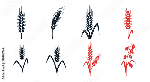 Grain Icons Set: Wheat, Barley, Oats, Rye - Vector Illustrations