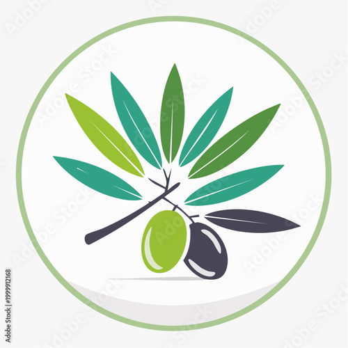 Olive Branch with Green and Black Olives