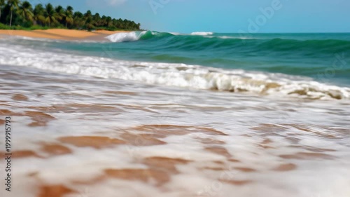 Ocean Waves Crashing on a Sandy Beach with Palm Trees.