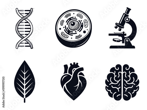 Biology and Medical Icon Set: DNA, Cell, Microscope, Leaf, Human Heart, and Brain Illustrations