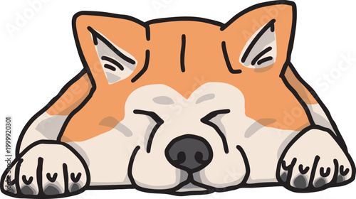 秋田犬　 AKITA　犬のイラスト　カラー