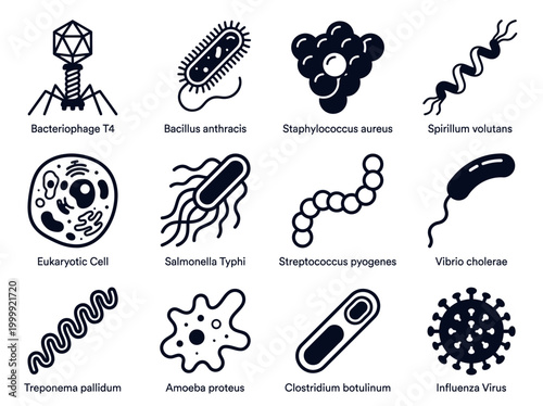 Canvas Print Set of 12 Microorganism Icons including Bacteria, Viruses, and Cells for Scienti