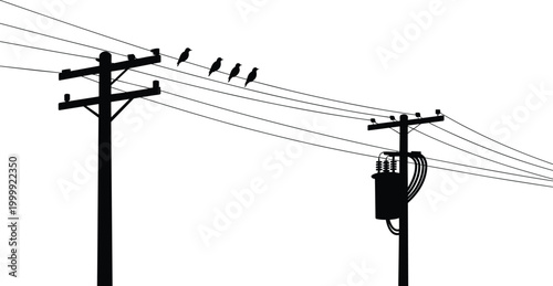 Electric power poles with birds on wires silhouette, utility infrastructure scene, energy transmission lines with transformer isolated on white background vector