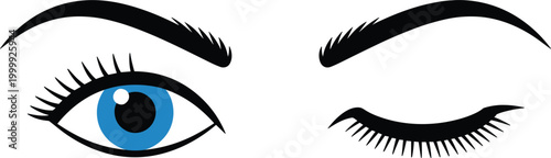 Eye expressions set, open and closed eyes with eyelashes beauty makeup vector illustration