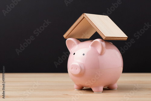Cute piggy bank with wooden house roof.