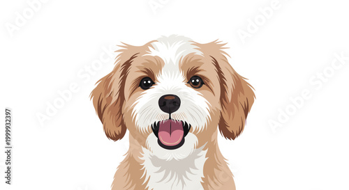 Charming close-up portrait of a small fluffy dog with brown and white fur smiling with its mouth open on a white background.
