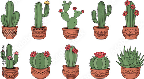 Potted cactus and succulent vector set featuring flowering desert plants in decorative ceramic terracotta clay pots.