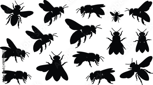 Bee silhouette set, flying honey insect collection, pollinator bug vector design pack illustration elements black