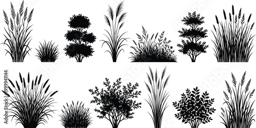 Grass bush silhouette set, ornamental garden plant collection, nature landscape vector design pack illustration elements