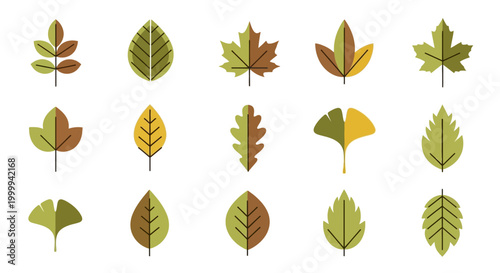 Autumn Leaves Collection: Diverse Fall Foliage Icons in Flat Design